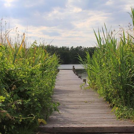 Moderne Und Helle Ferienwohnung Am Ploener See Bosau Exterior foto